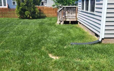 Photo of Steph C.'s yard after getting lawn care in Mechanicsville, VA