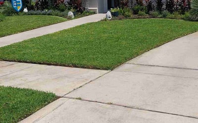 Photo of Charlotte W.'s yard after getting lawn care in Houston, TX