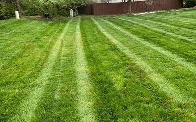 Photo of Deborah C.'s yard after getting lawn care in London, OH