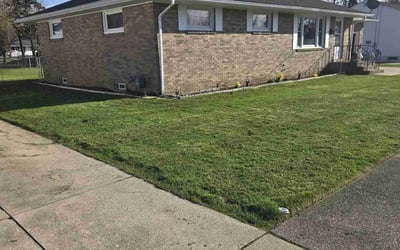 Photo of Nealy D.'s yard after getting lawn care in Erie, PA