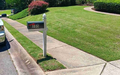 Photo of Kailee G.'s yard after getting lawn care in DeBary, FL