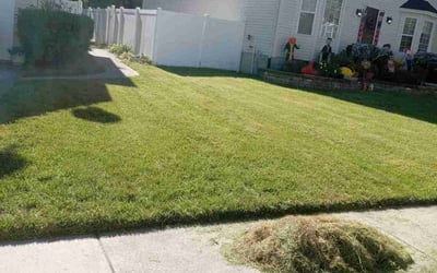 Photo of Sylvester M.'s yard after getting lawn care in Absecon, NJ