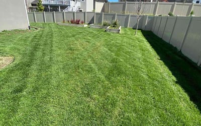 Photo of Brett B.'s yard after getting lawn care in Herriman, UT