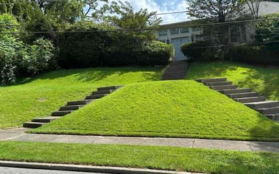 Photo of Donna D.'s yard after getting lawn care in Pittston, PA