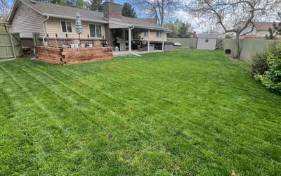 Photo of Cara S.'s yard after getting lawn care in Pueblo, CO
