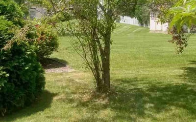 Photo of Chad M.'s yard after getting lawn care in Oak Creek, WI