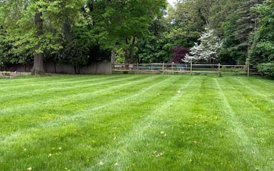 Photo of Kristie A.'s yard after getting lawn care in Ellington, CT