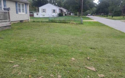Photo of Ossie C.'s yard after getting lawn care in Kyle, TX