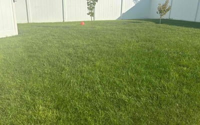 Photo of Venita W.'s yard after getting lawn care in Syracuse, UT