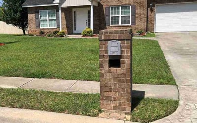 Photo of Carole W.'s yard after getting lawn care in Jacksonville, FL