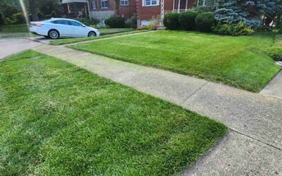 Photo of Patrick C.'s yard after getting lawn care in Springboro, OH