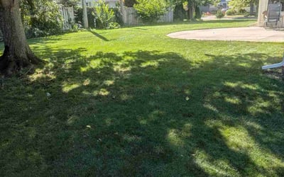 Photo of Neko E.'s yard after getting lawn care in Holland, MI