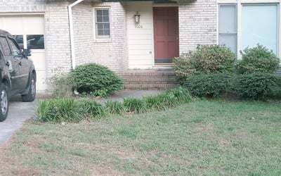 Photo of Aida V.'s yard after getting tree care in Sun City, FL