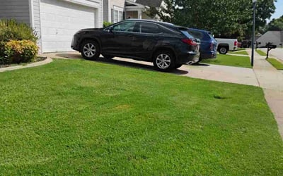 Photo of Naim H.'s yard after getting lawn care in Pelzer, SC