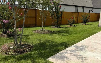 Photo of Lyneille M.'s yard after getting lawn care in Denison, TX
