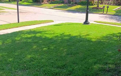 Photo of Judith D.'s yard after getting lawn care in Navarre, FL