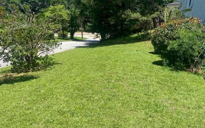 Photo of Mia C.'s yard after getting tree care in Fort Myers, FL