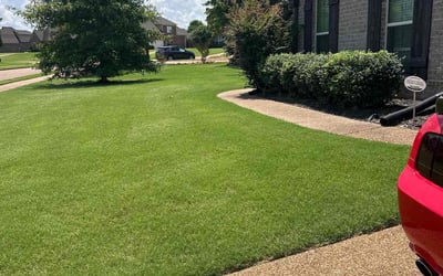Photo of Ethan A.'s yard after getting lawn care in Ocala, FL
