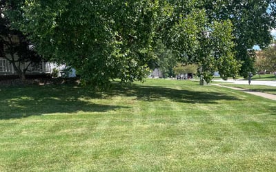 Photo of Tony P.'s yard after getting lawn care in Tallmadge, OH
