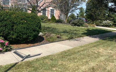 Photo of Maria S.'s yard after getting lawn care in Harrison, OH