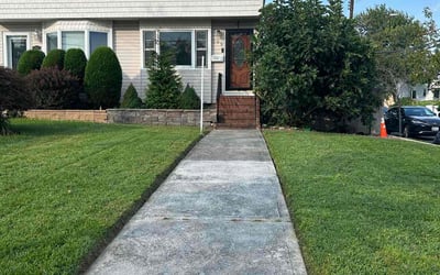 Photo of Adam K.'s yard after getting lawn care in Staten Island, NY