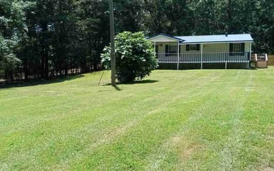 Photo of Carrie W.'s yard after getting lawn care in New Windsor, NY