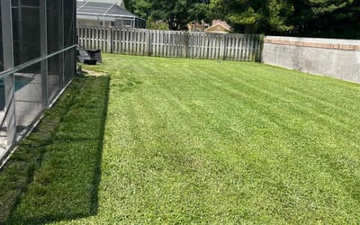 Photo of Jordan A.'s yard after getting lawn care in Charlotte, NC