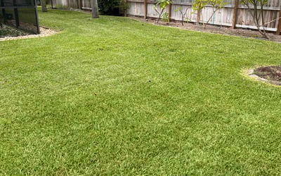 Photo of Randy R.'s yard after getting lawn care in Satellite Beach, FL