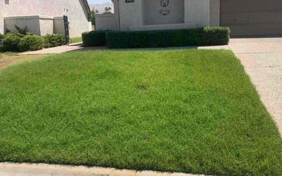 Photo of Christopher M.'s yard after getting lawn care in Ridgecrest, CA
