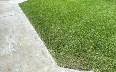 Photo of Catherine H.'s yard after getting lawn care in Fair Lawn, NJ