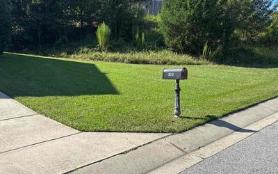 Photo of Luann P.'s yard after getting lawn care in Fletcher, NC