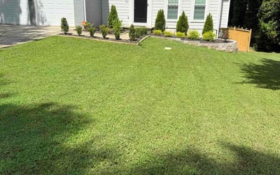 Photo of Lisa F.'s yard after getting lawn care in Jenks, OK