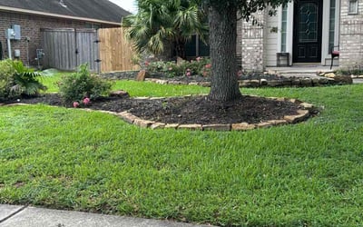 Photo of Kyung K.'s yard after getting lawn care in Alamo, TX