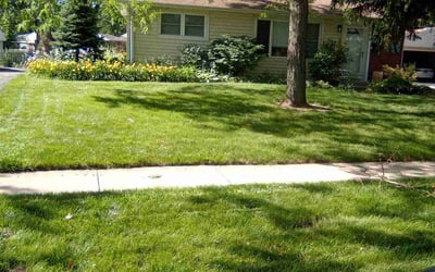 Photo of Kim W.'s yard after getting lawn care in Rolling Meadows, IL