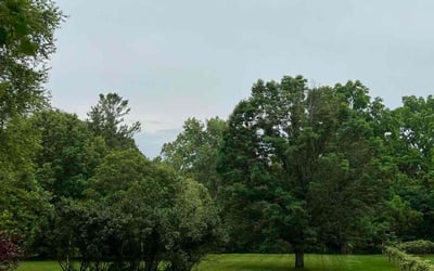 Photo of Jarvis E.'s yard after getting lawn care in Beavercreek, OH
