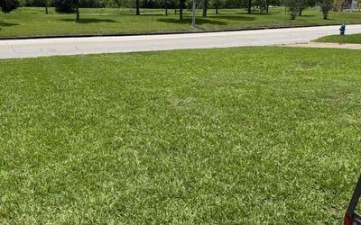 Photo of Tim H.'s yard after getting lawn care in Uniontown, PA