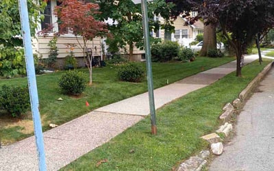 Photo of Kimi V.'s yard after getting lawn care in Rutherford, NJ