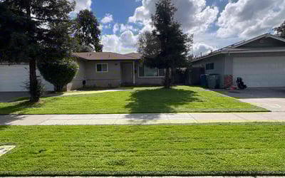 Photo of Libby L.'s yard after getting lawn care in Fresno, CA
