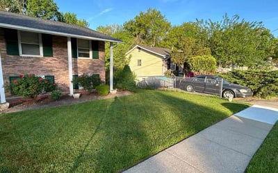 Photo of John D.'s yard after getting tree care in Capitol Heights, MD