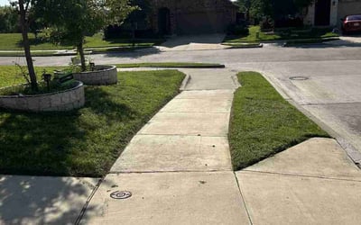 Photo of Jonathan H.'s yard after getting lawn care in Lakewood, OH