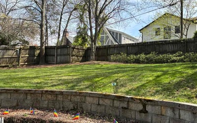 Photo of Julia C.'s yard after getting lawn care in Atlanta, GA