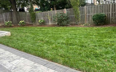 Photo of Adrien W.'s yard after getting lawn care in Alexandria, VA