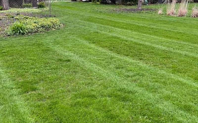 Photo of Bilal A.'s yard after getting lawn care in Libertyville, IL