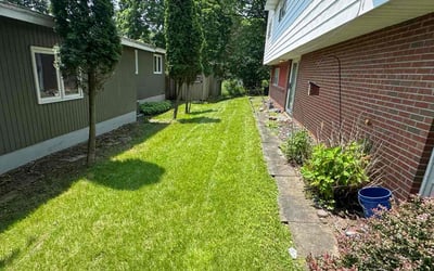 Photo of &quot;Kim P.'s yard after getting lawn care in Hesperia, CA