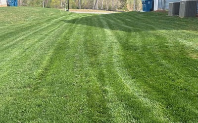 Photo of Jackie J.'s yard after getting lawn care in Greensboro, NC