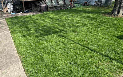 Photo of Devan S.'s yard after getting lawn care in Williamsburg, VA