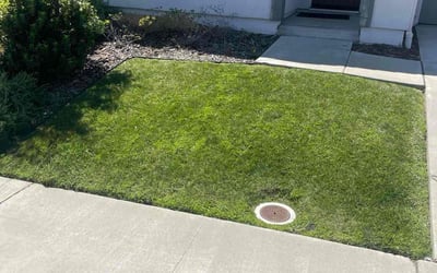 Photo of Teresa T.'s yard after getting lawn care in Rocklin, CA