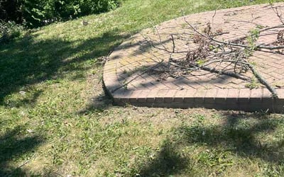 Photo of Candy M.'s yard after getting lawn care in Harrison Township, MI