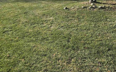 Photo of Brandon F.'s yard after getting lawn care in Brookfield, WI