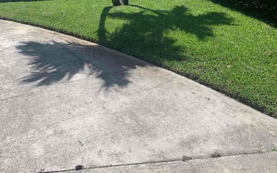 Photo of Jenee D.'s yard after getting lawn care in Pompano Beach, FL